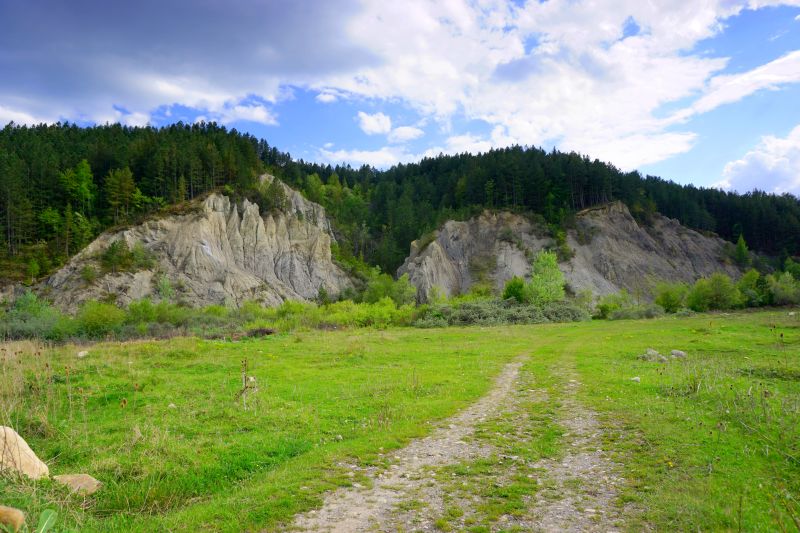 rezervatii naturale vrancea