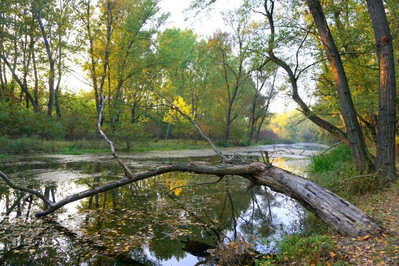 rezervatii naturale vrancea