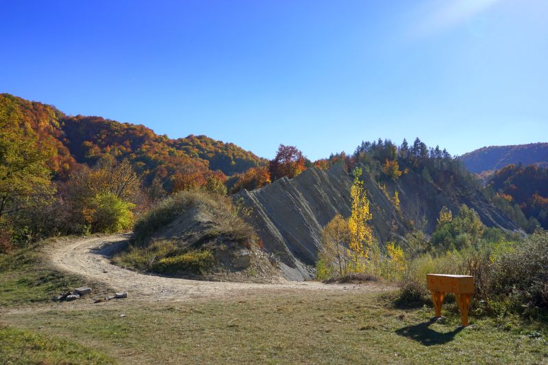 rezervatii naturale vrancea