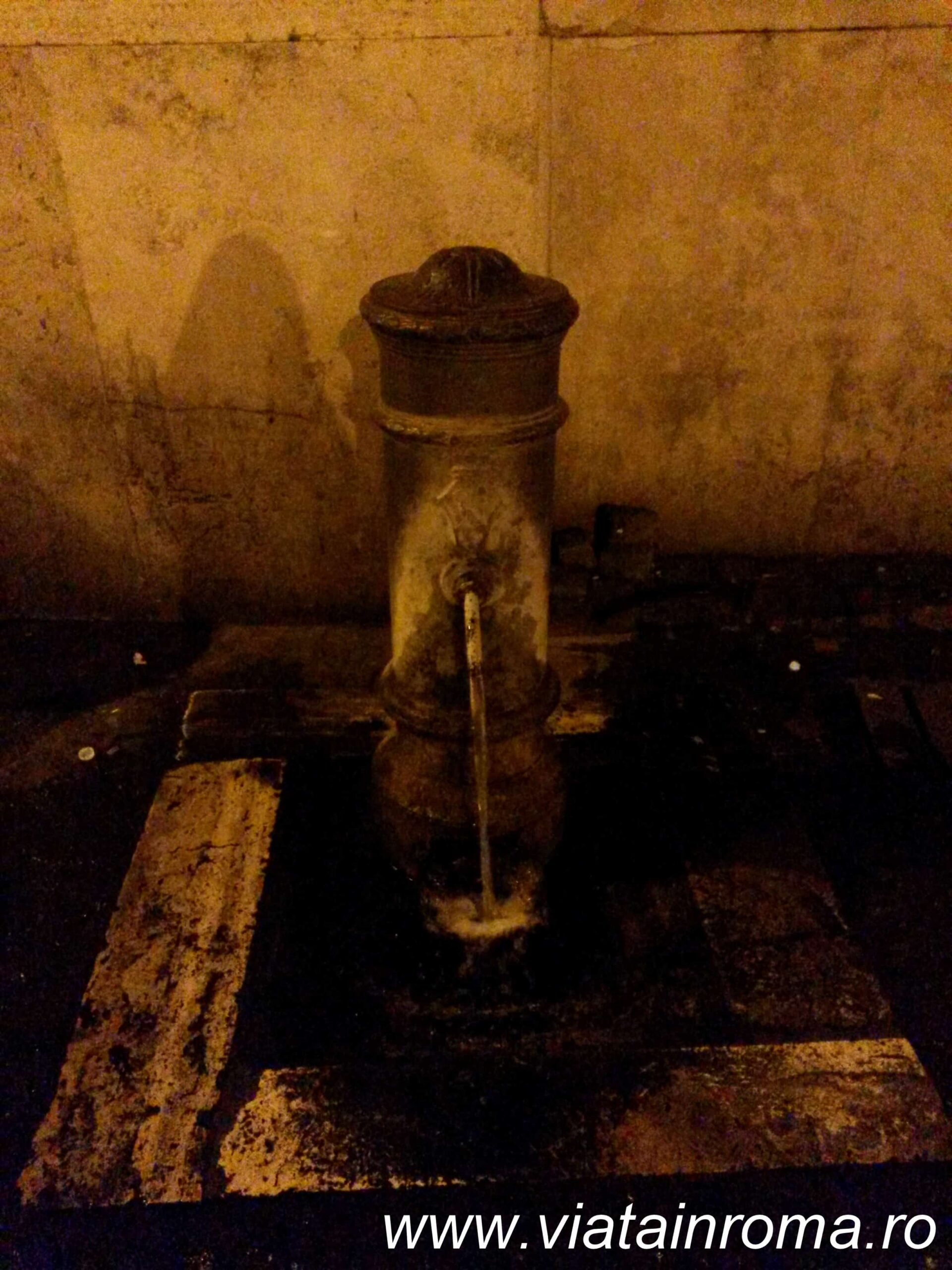 nasoni
