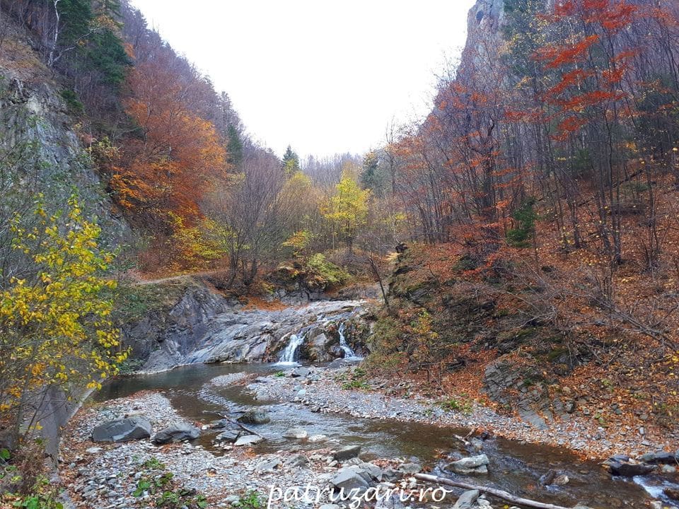 toamna vrancea