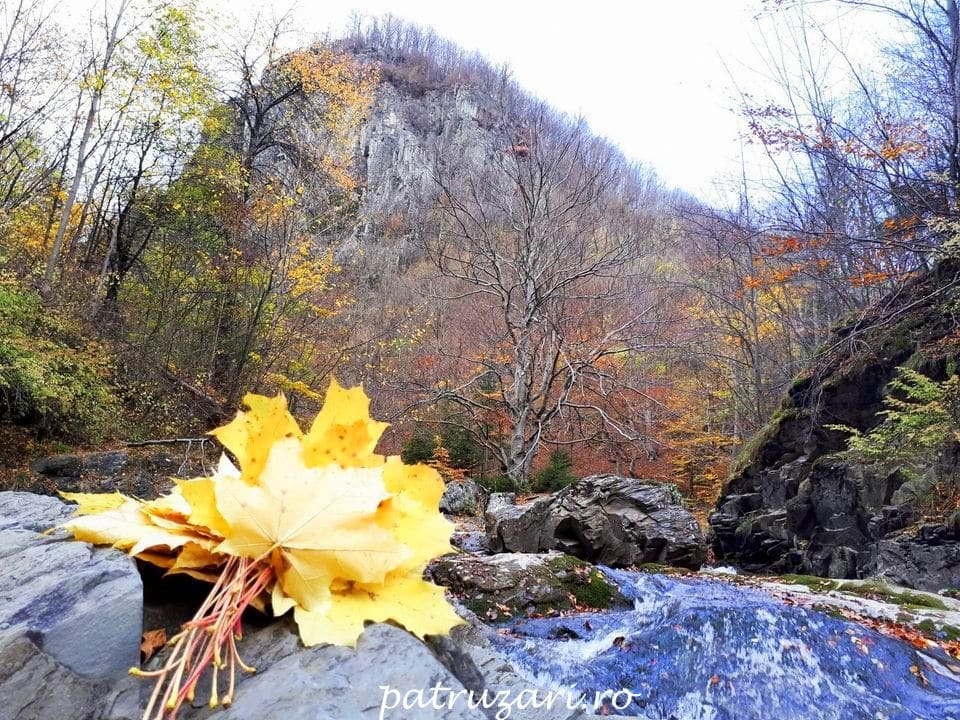 toamna vrancea