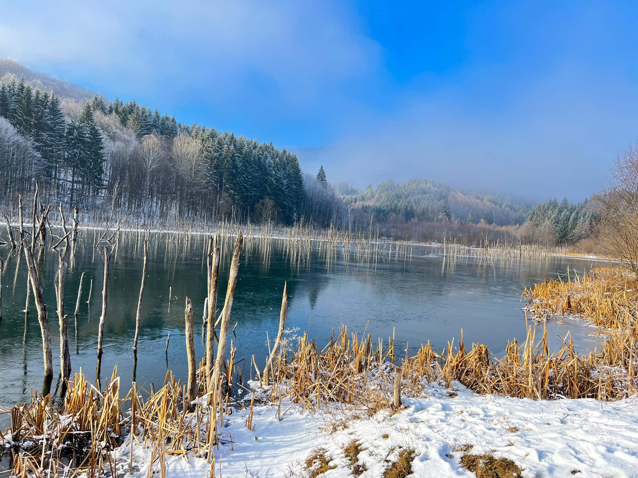 lacul cuejdel