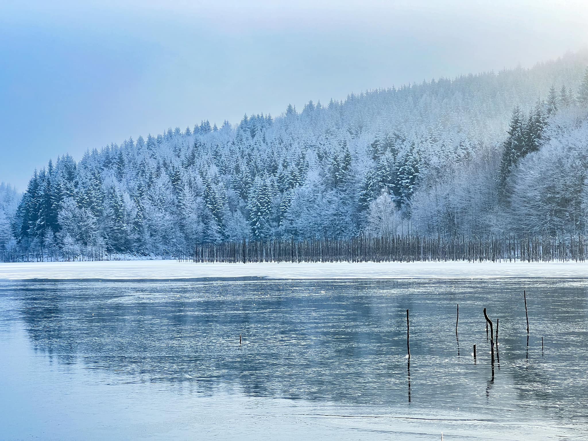 lacul cuejdel