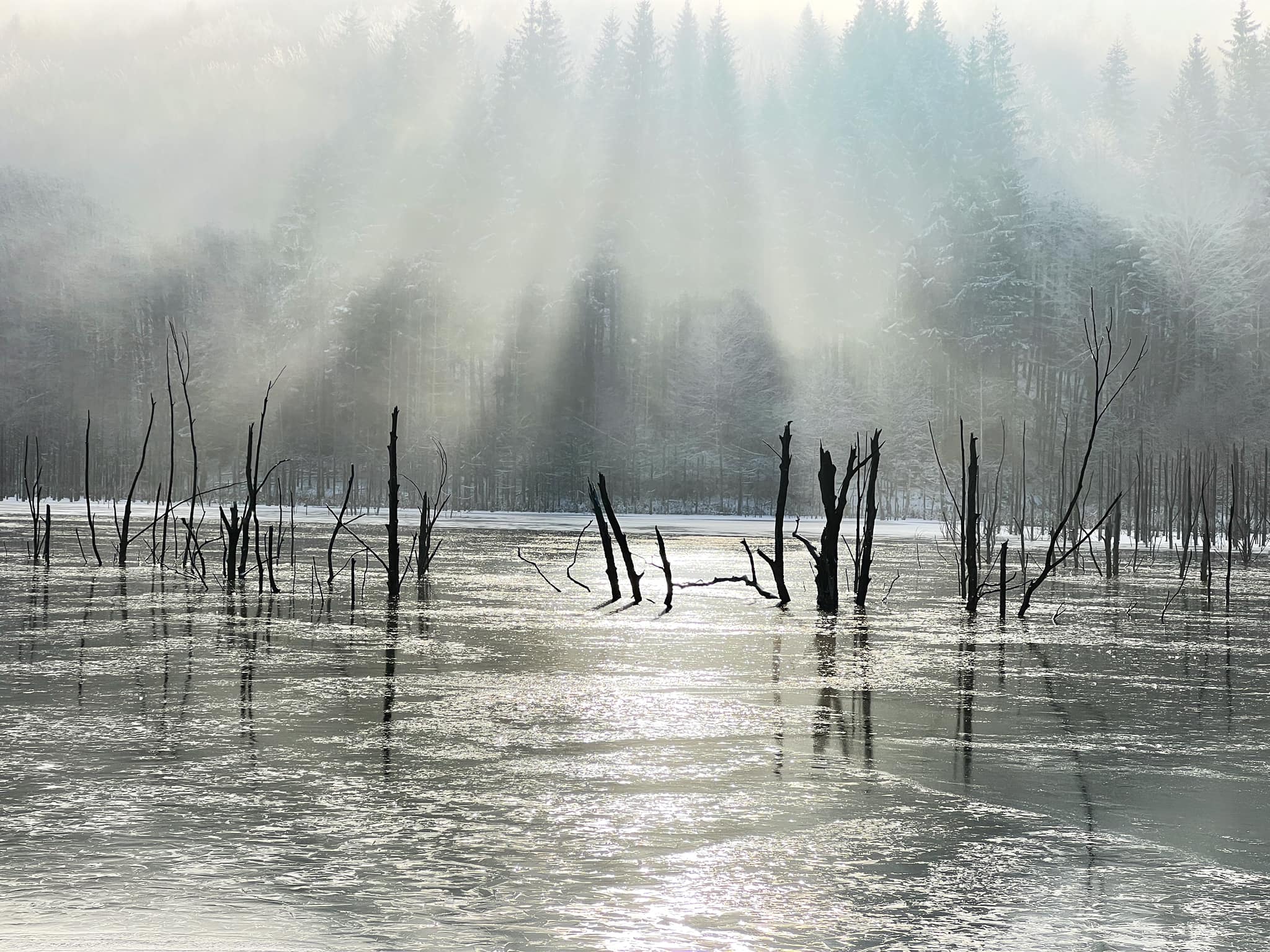 lacul cuejdel