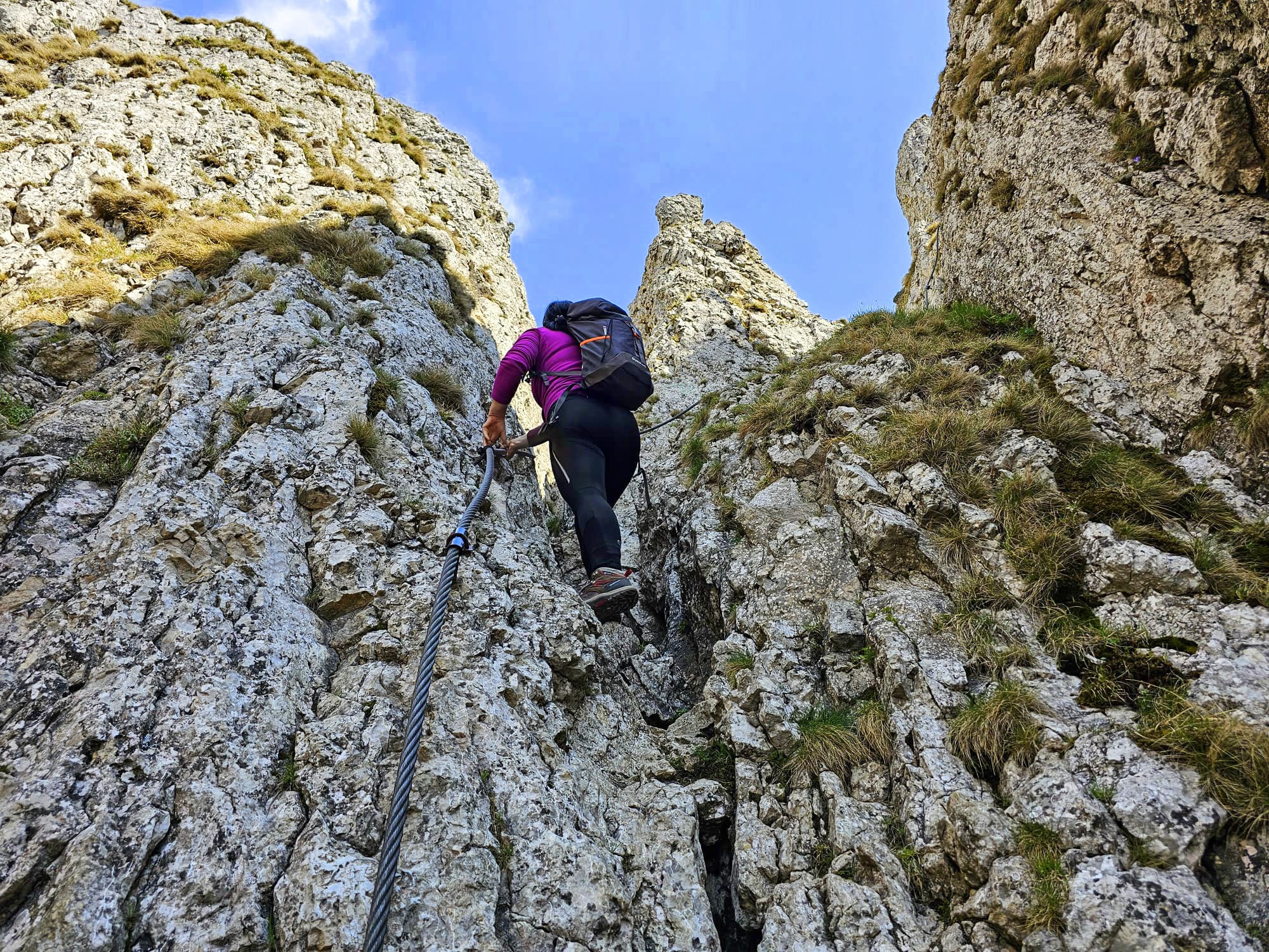 Traseu Piatra Singuratică - Vf. Hășmașul Mare