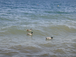 lacul bracciano