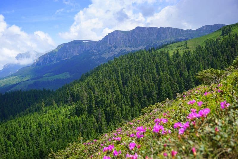 locuri de vizitat in romania