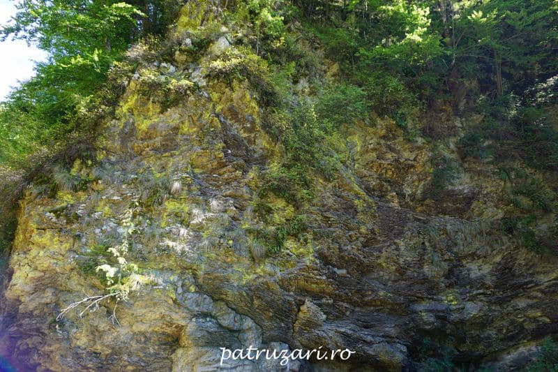 excursii vrancea