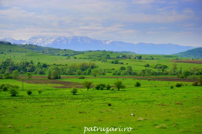 valea hartibaciului