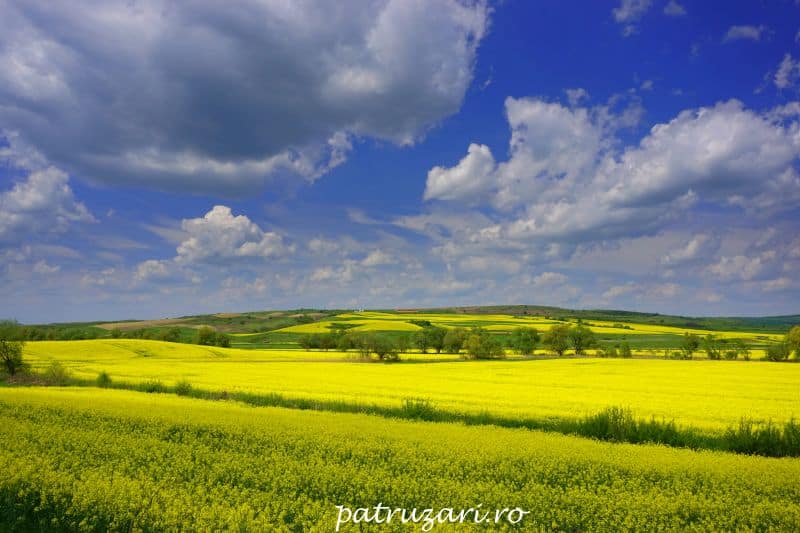 valea hartibaciului