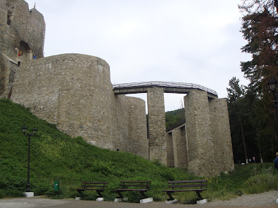cetatea neamtului