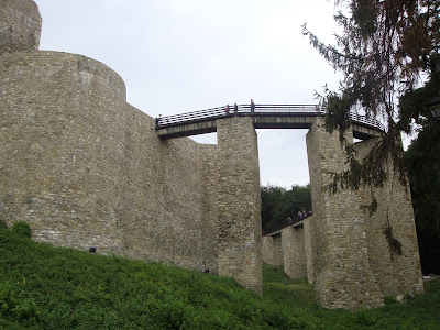 cetatea neamtului