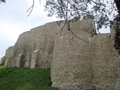 cetatea neamtului