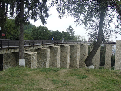cetatea neamtului