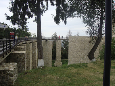 cetatea neamtului