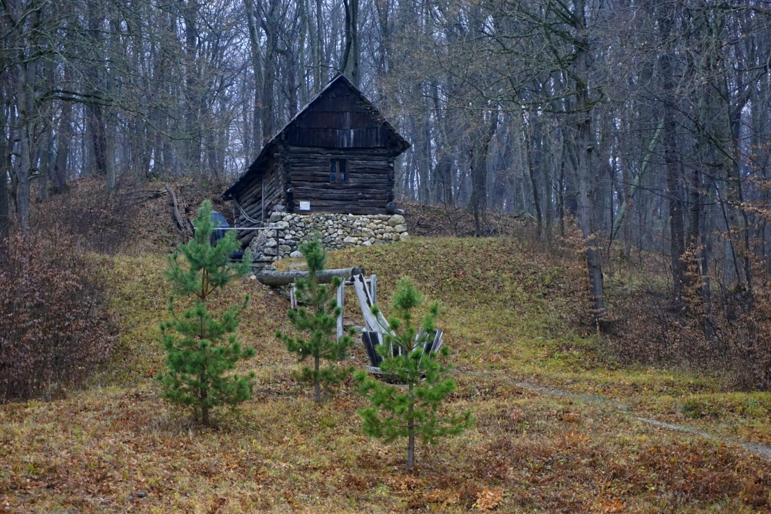 muzeul satului sibiu