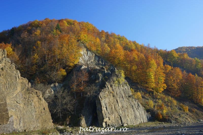toamna vrancea