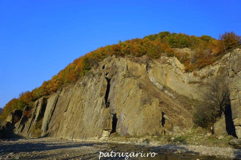 toamna vrancea