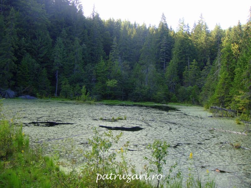 lacul negru vrancea