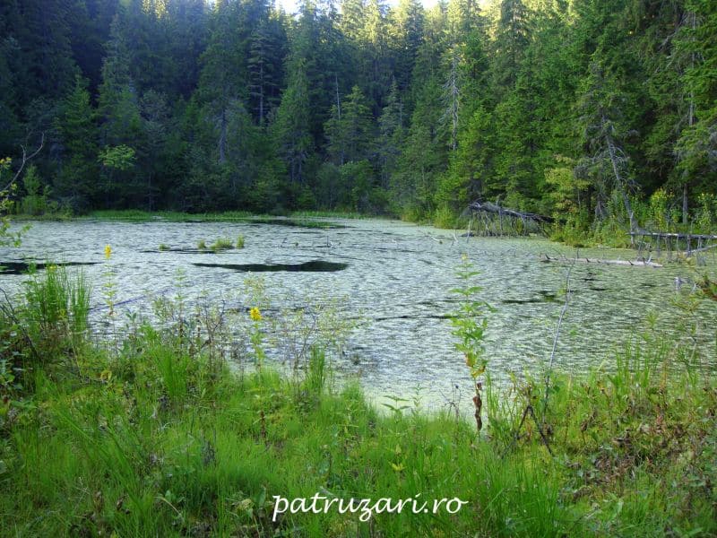 excursii vrancea