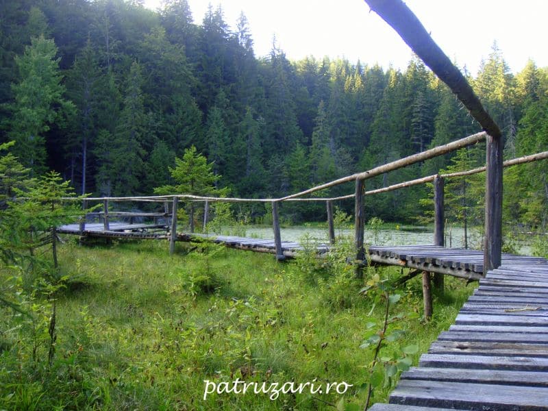 lacul negru vrancea