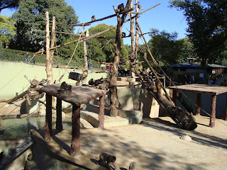 gradina zoologica roma