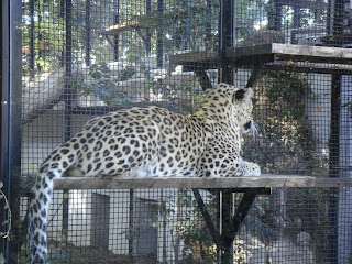 gradina zoologica roma