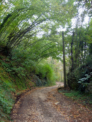 rocca di papa