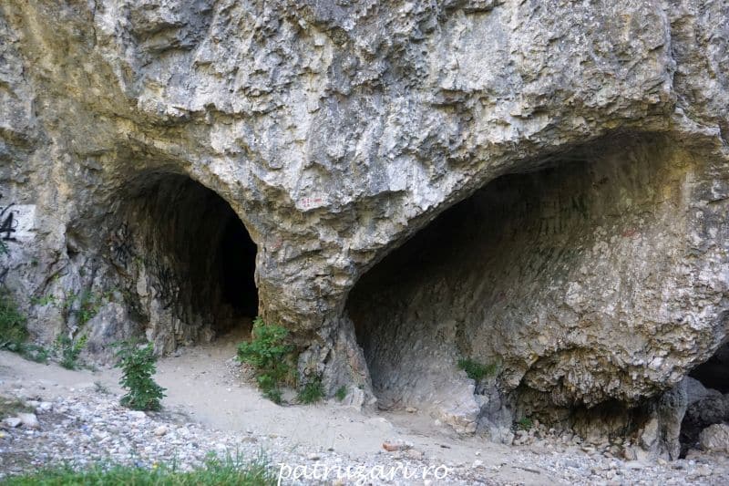 obiective turistice gorj