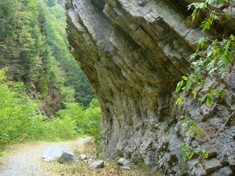 cheile tisitei