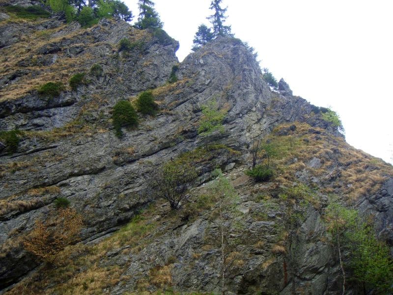 cheile tisitei