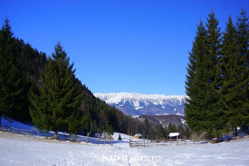 plimbare prin andole