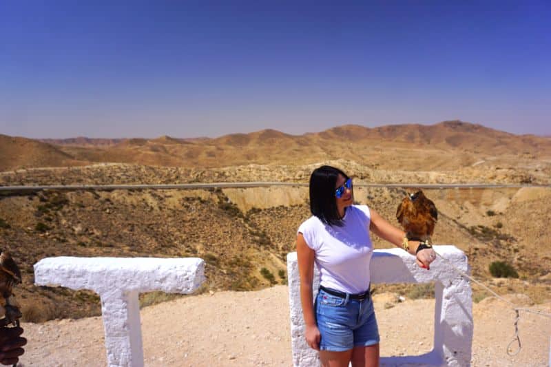 excursii optionale tunisia