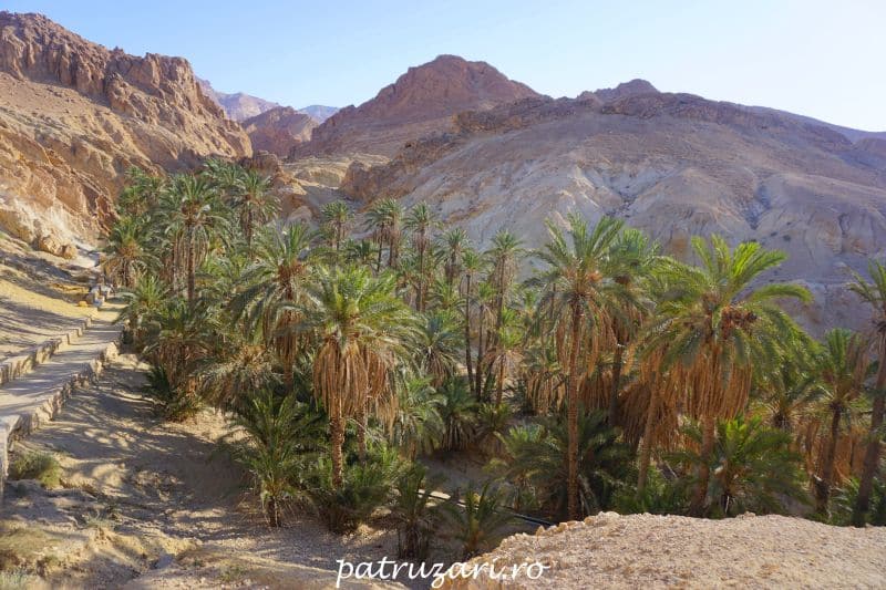 excursii optionale tunisia