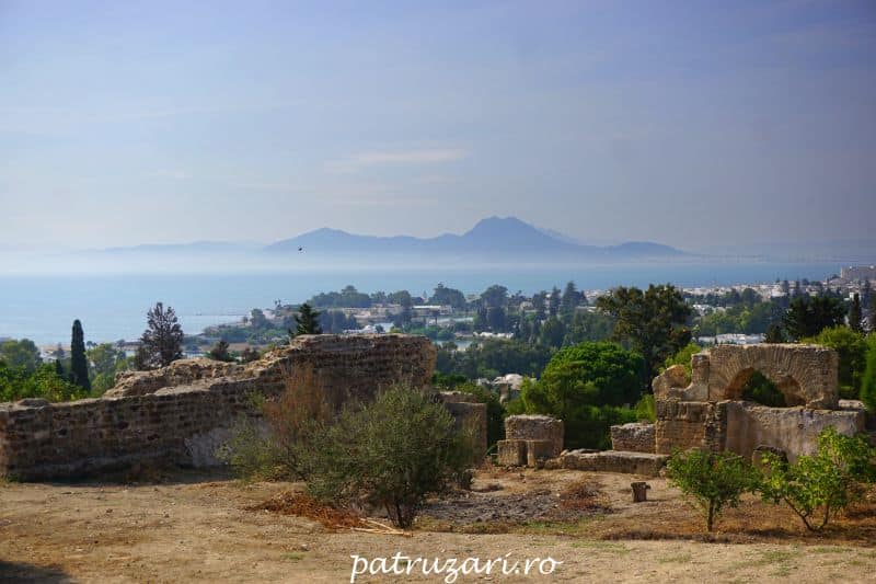 excursii optionale tunisia