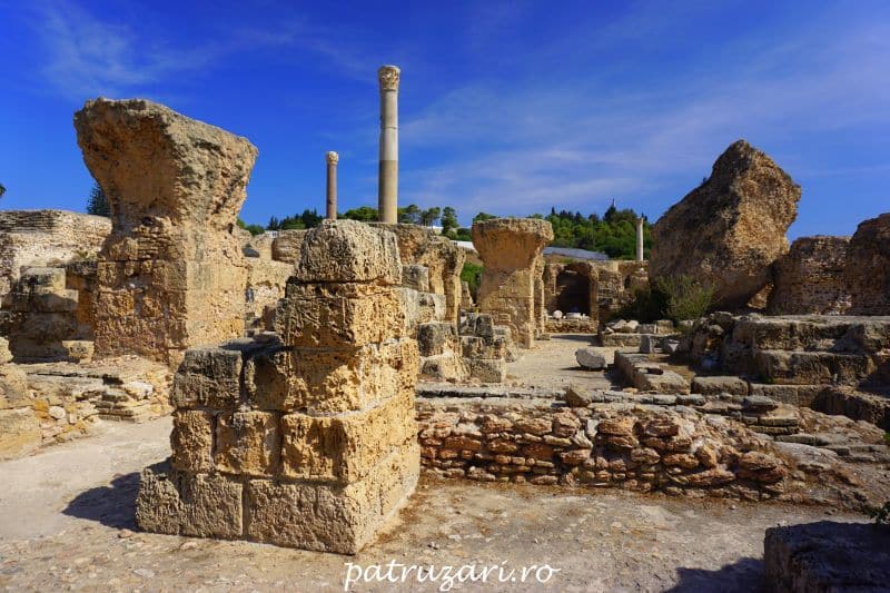 excursii optionale tunisia