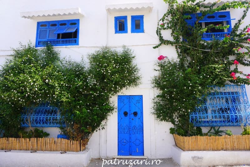 excursii optionale tunisia