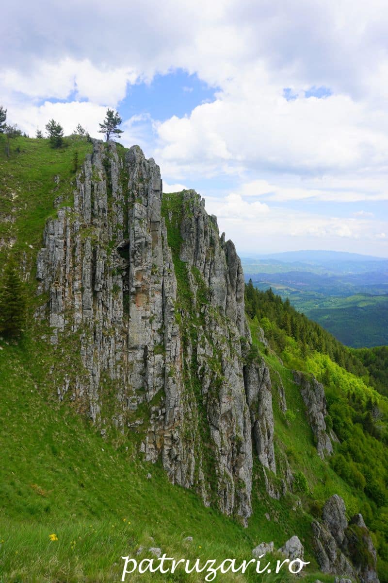 turnurile cozei