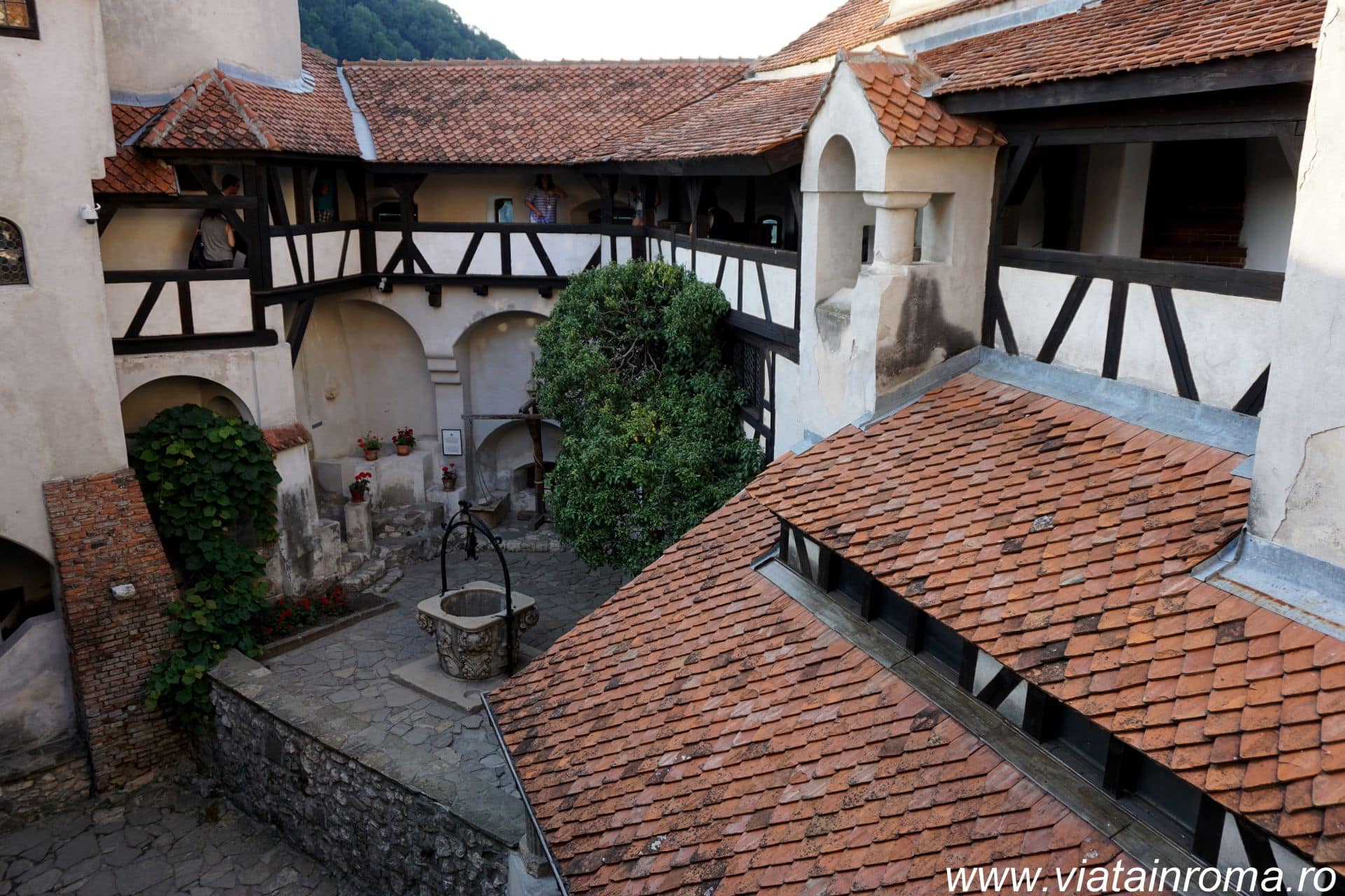 castelul bran