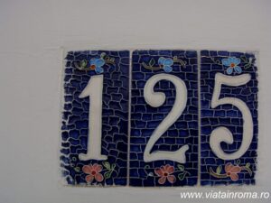 DSC06106