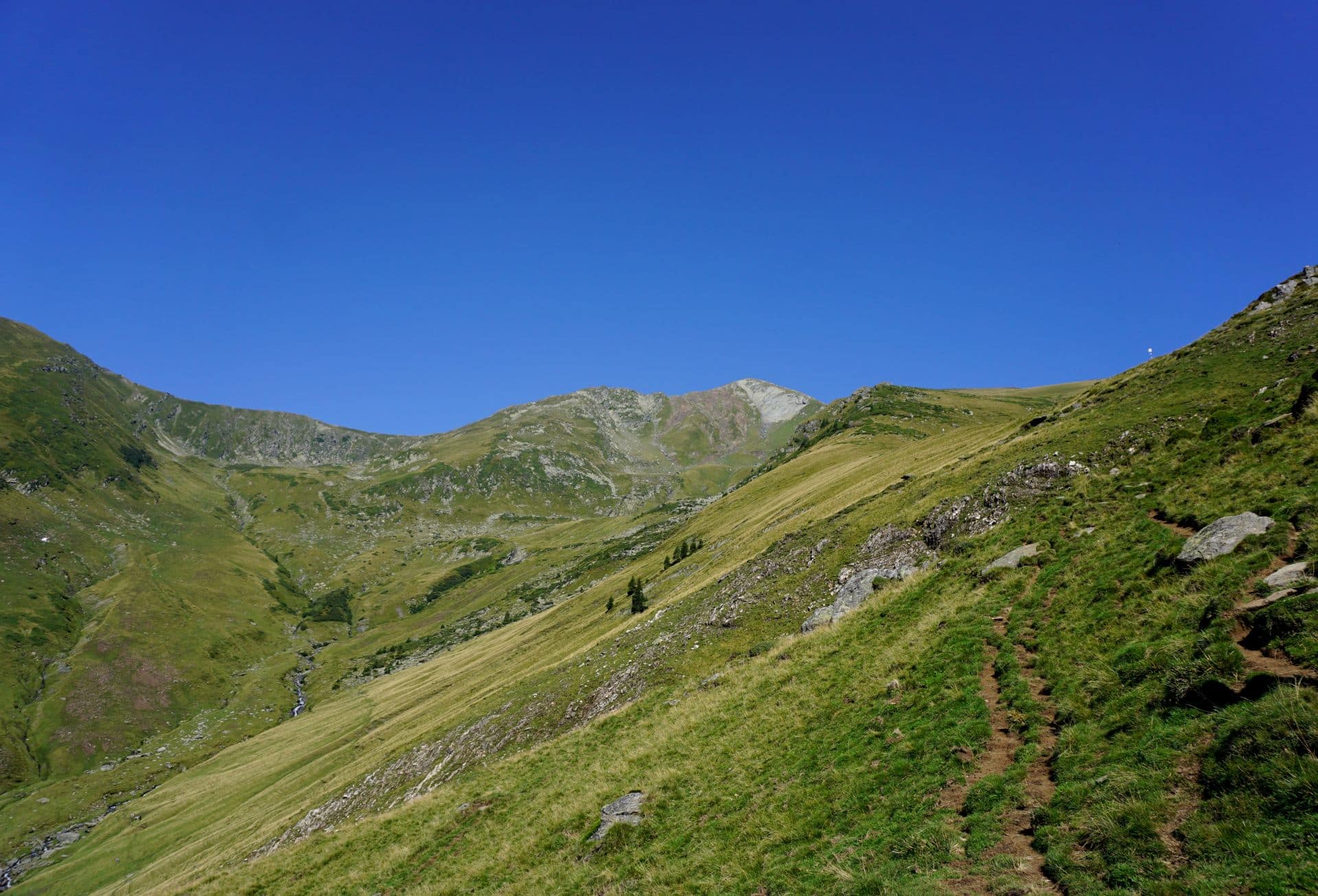 varful lespezi varful cornul caltunului
