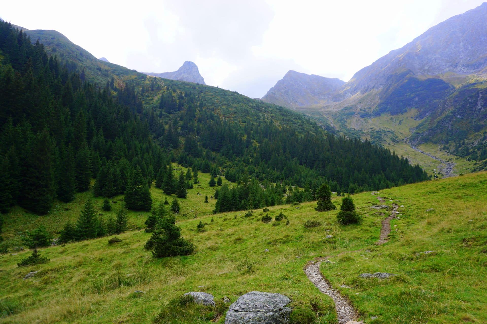 fereastra mare a sambetei