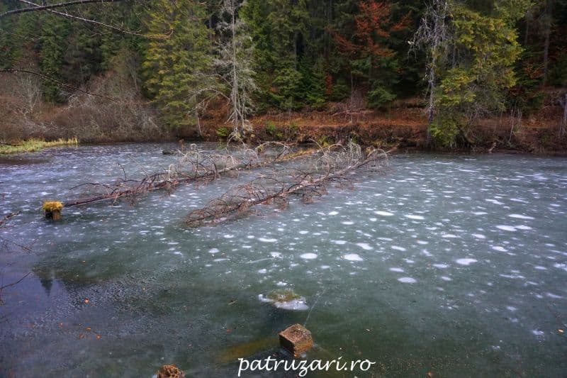 lacul rosu