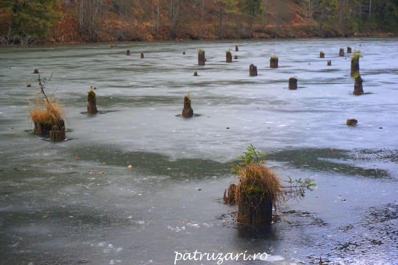 lacul rosu