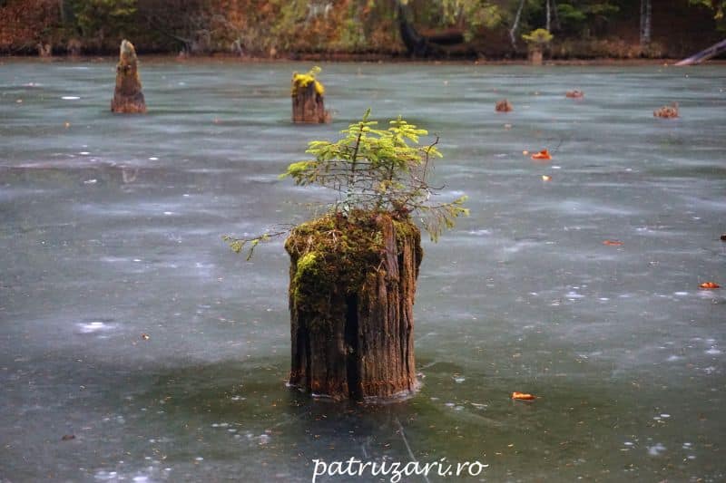 lacul rosu