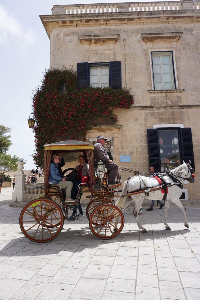 malta mdina