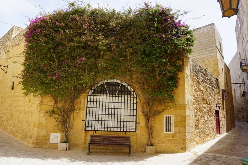 malta mdina