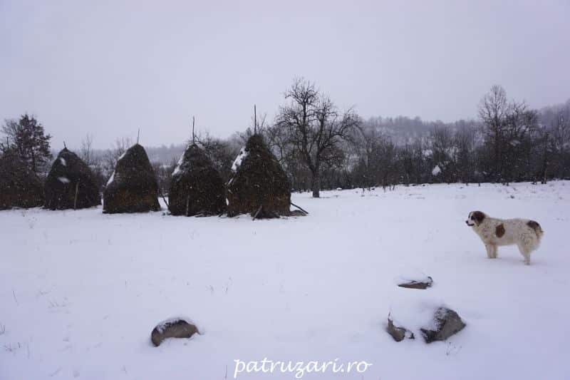 maramures