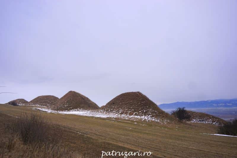 tara fagarasului